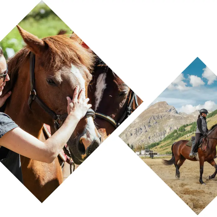 Photo portrait - Autour du poney