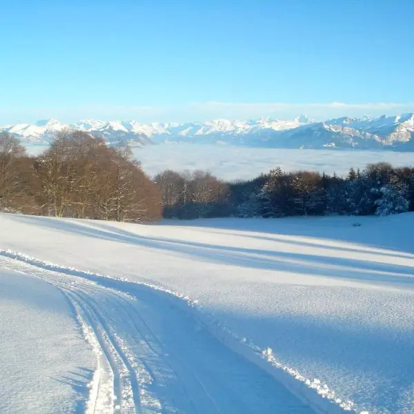 Piste de ski de fond au Salève