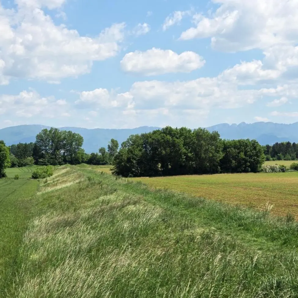 Le sentier des digues