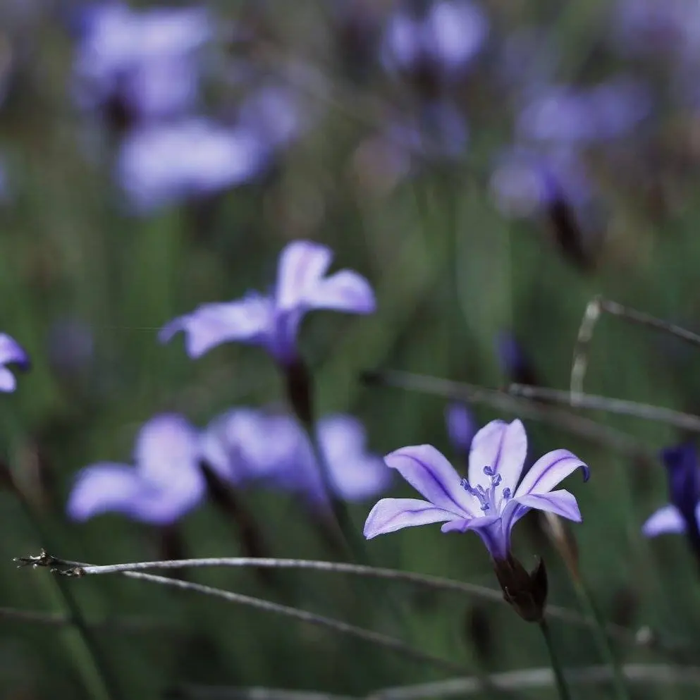 Petite boucle de l'Eygau
