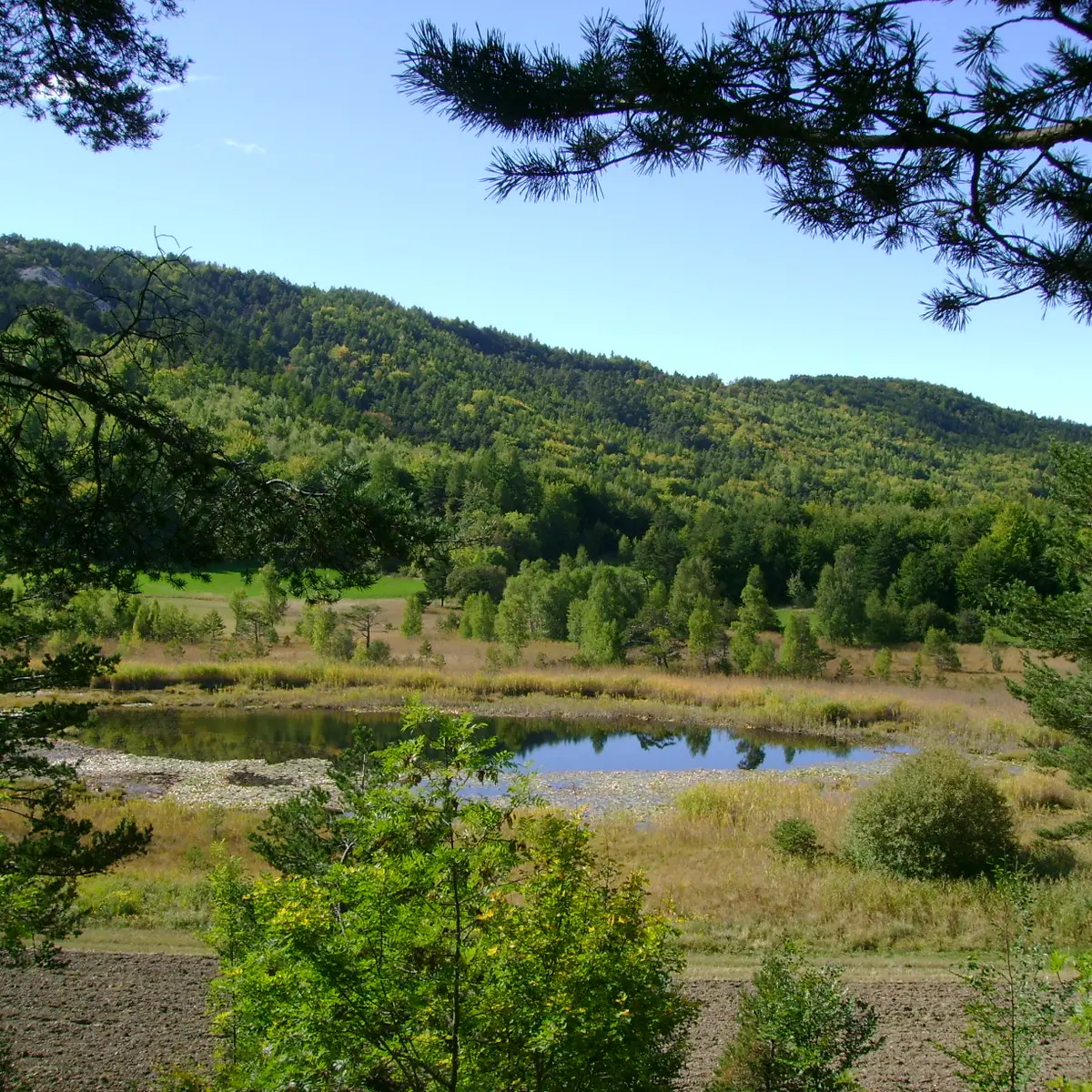 Le Lac de Saint-Léger