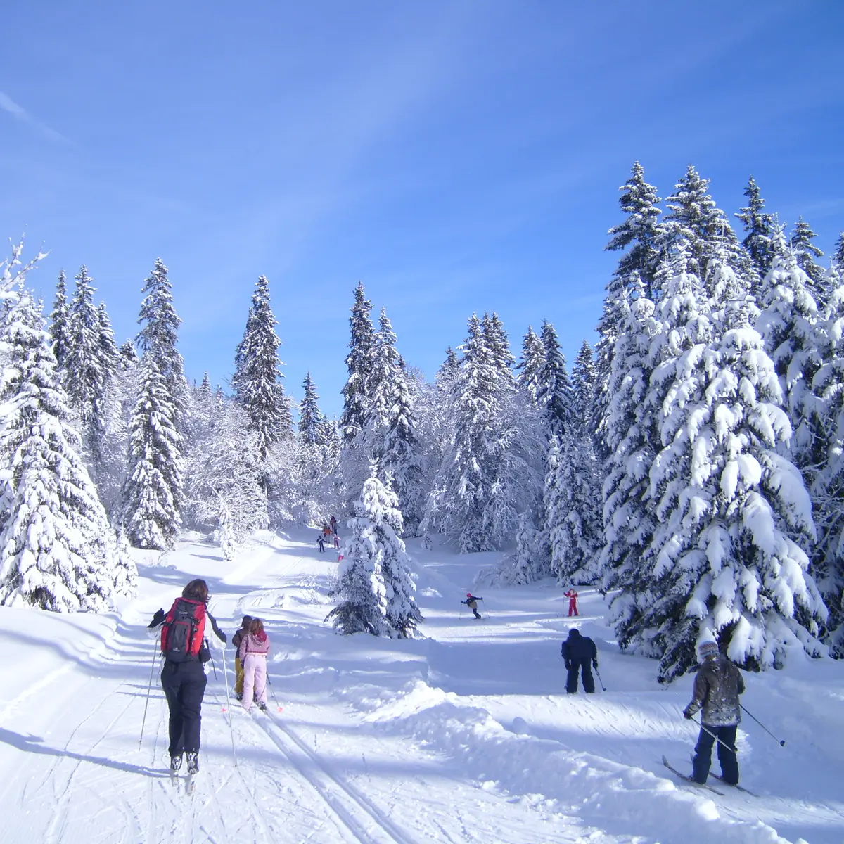 Domaine nordique ski de fond