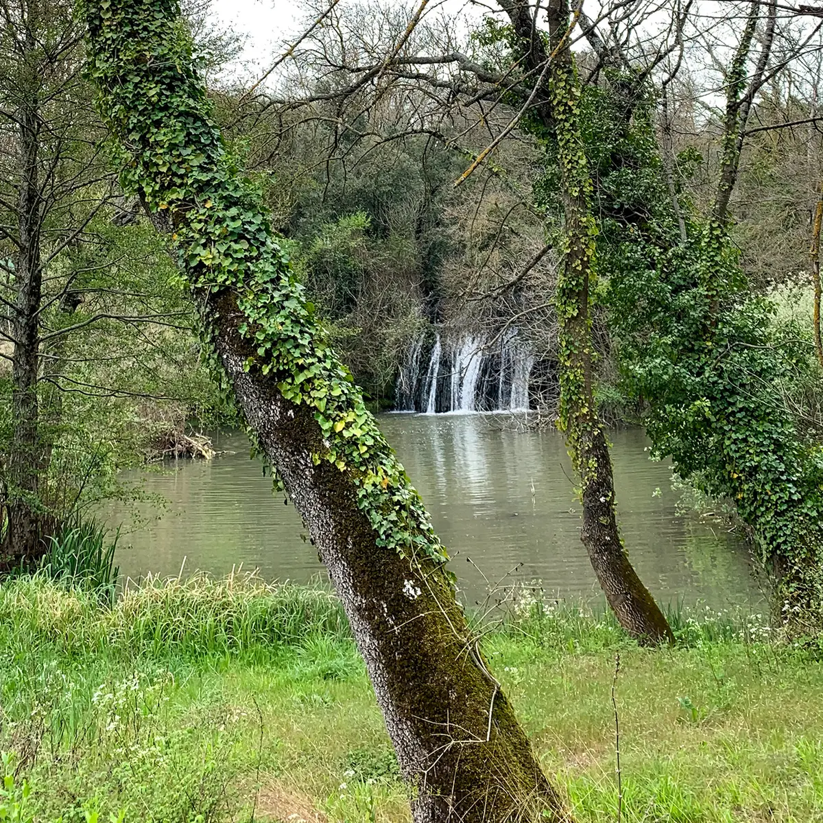Cascade du Tombereau