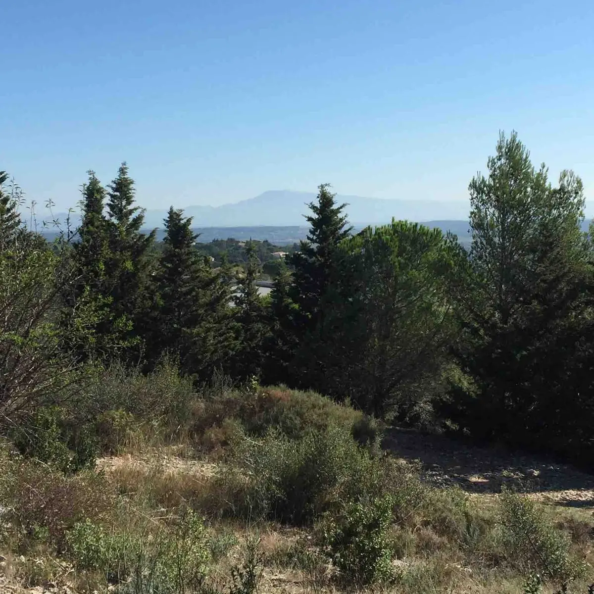 Vue sur le Mont Ventoux