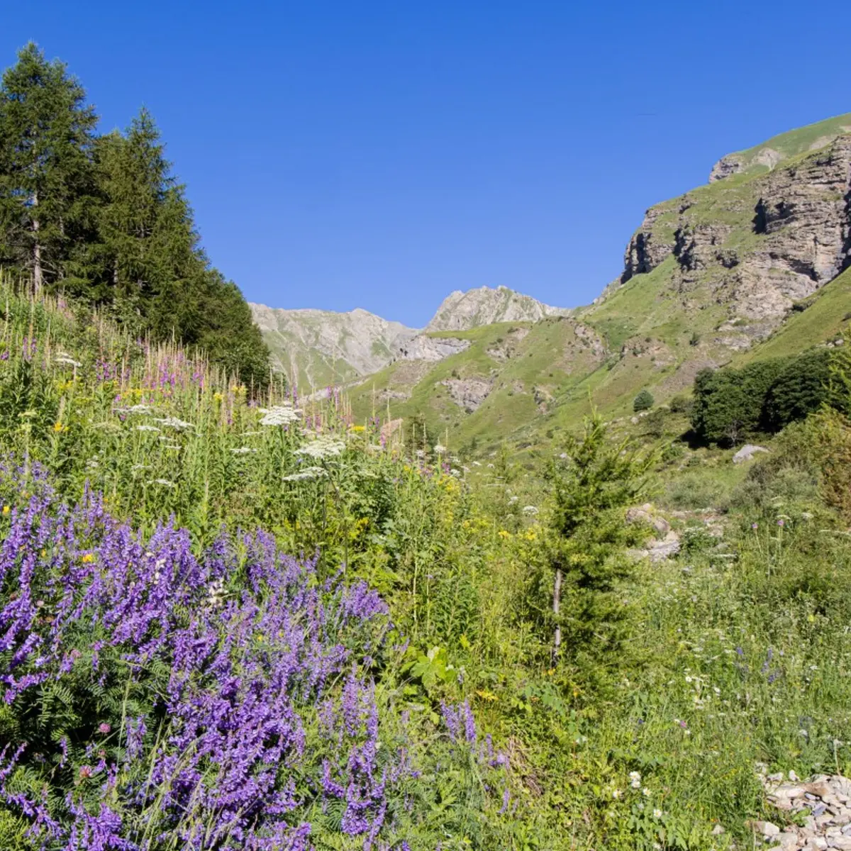 Montée au col de la Coupa