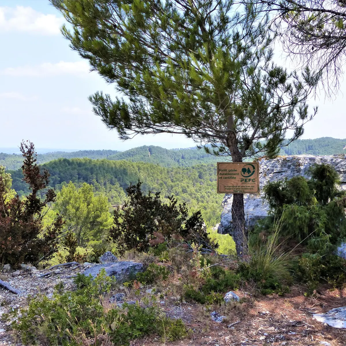Aux abords du vallon de la Lèque
