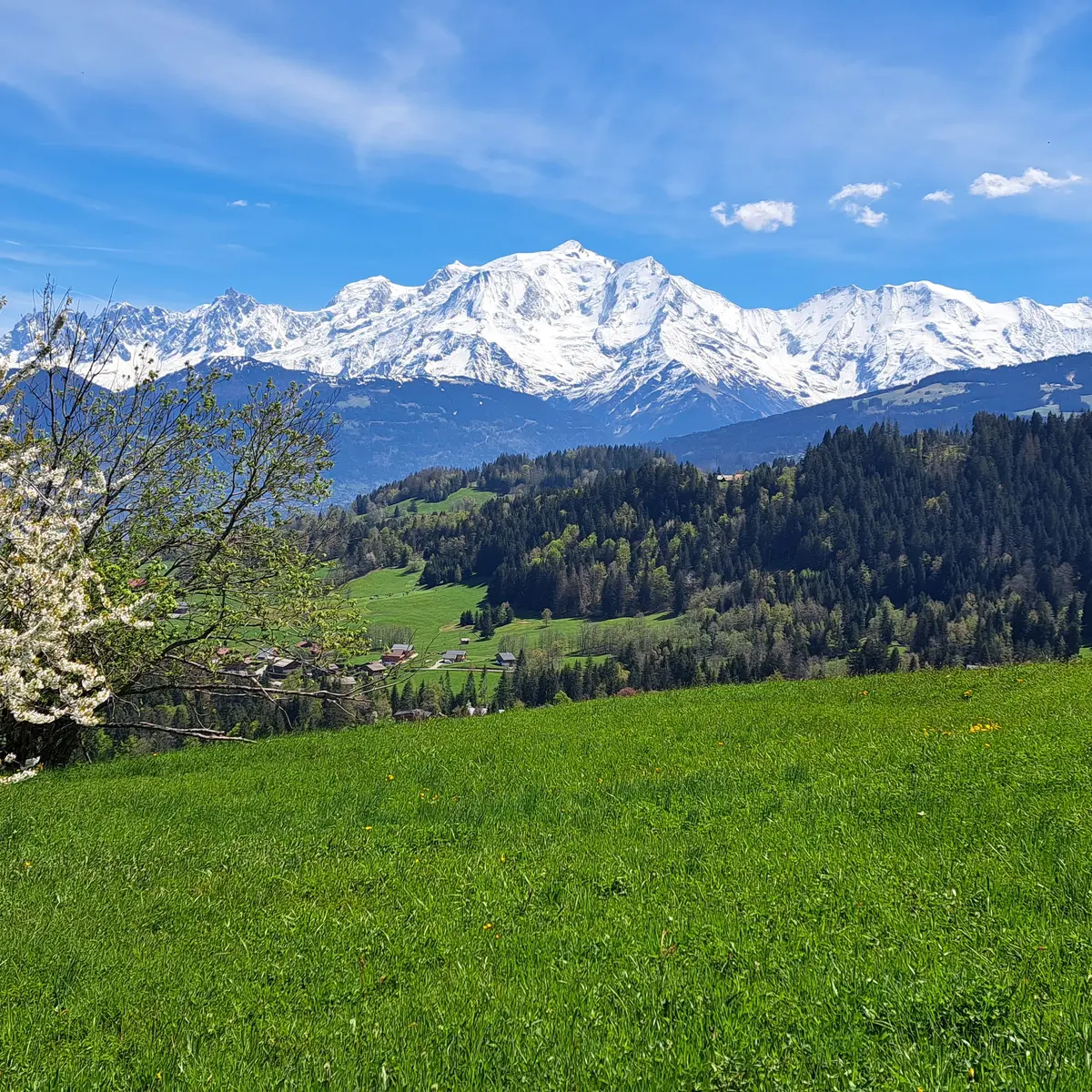 Vue sur le Mont-Blanc, depuis les hauteurs de Cordon