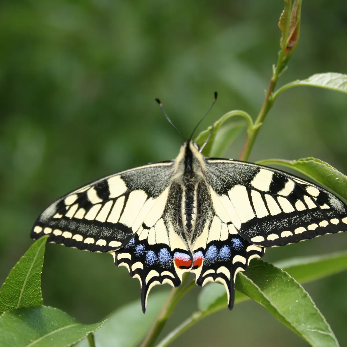 Parc Aoubré à Flassans sur Issole