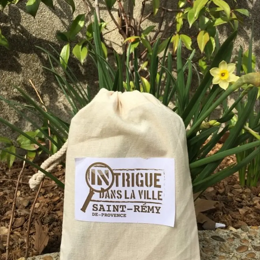 Intrigue dans la ville de Saint-Rémy-de-Provence