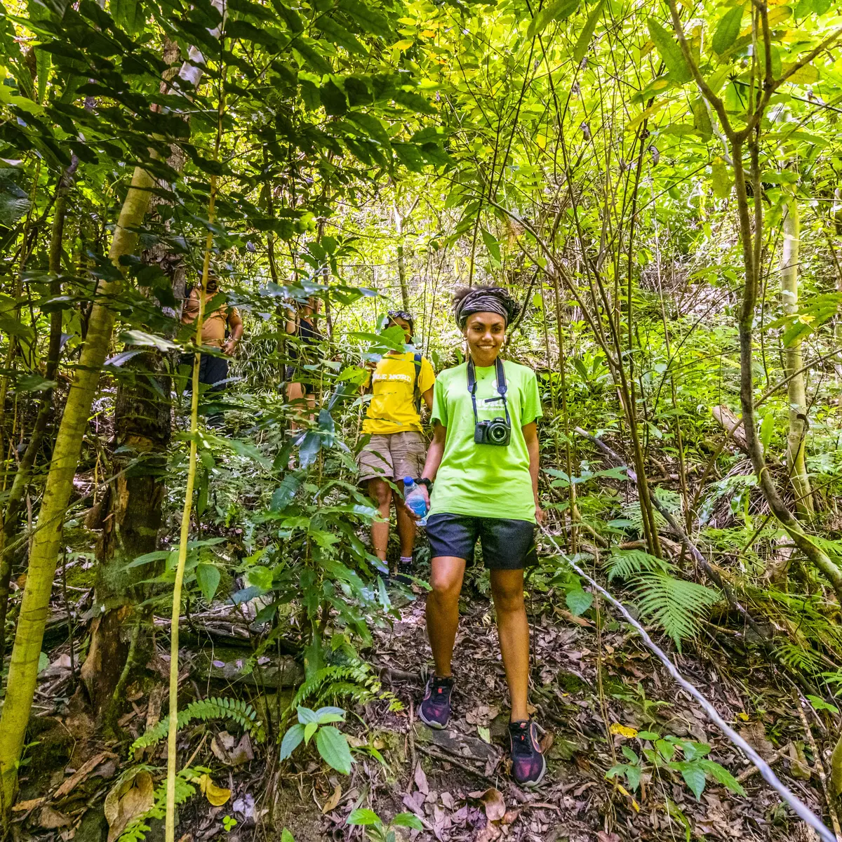 guide, randonnée, pédestre, forêt, montée, touho
