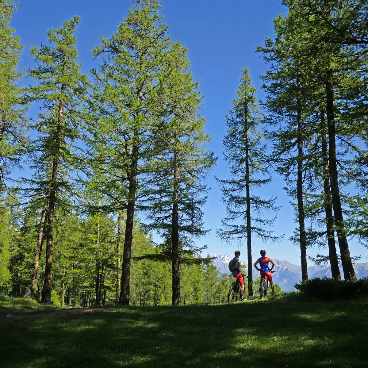 Parcours VAE & CROSS COUNTRY (XC) - DECOU'VERTE_Risoul