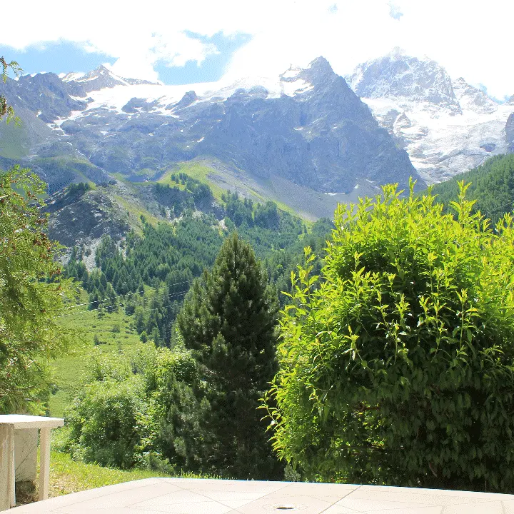 vue depuis la terrasse