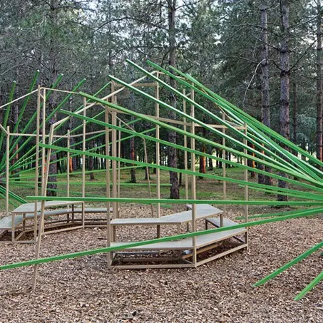 Bois de Montrosiès Nègrepelisse