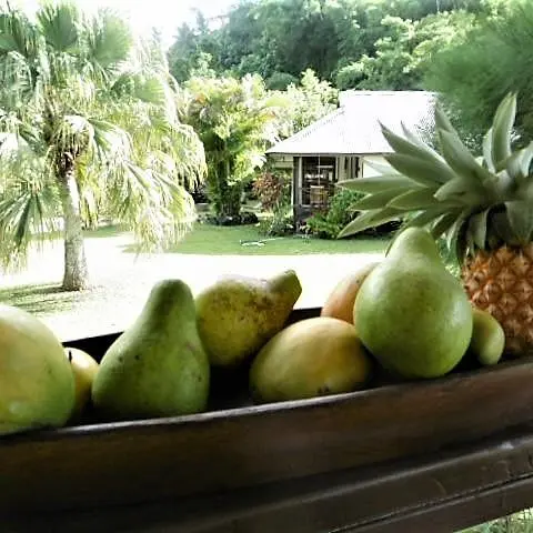 Pension Titaina_Taha'a