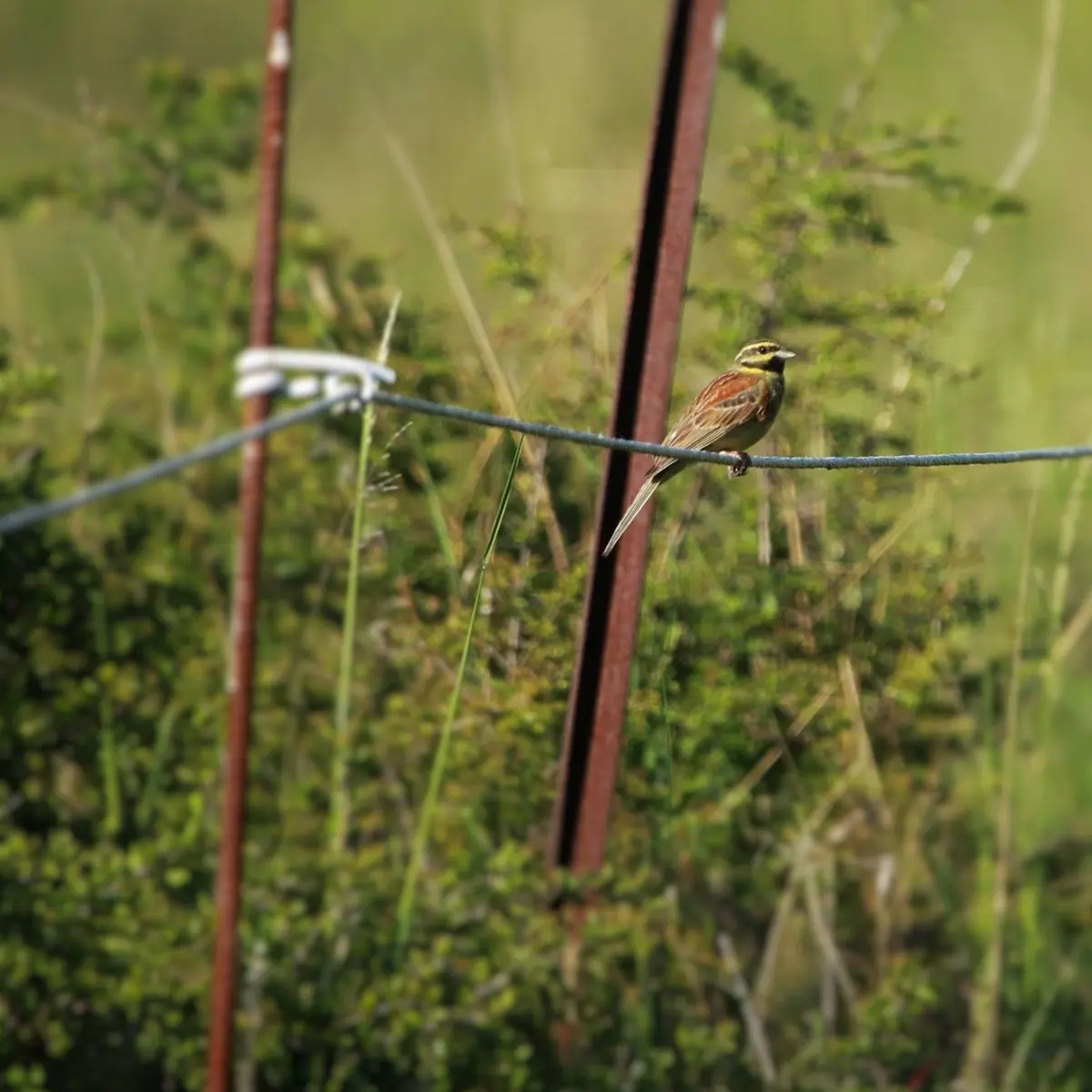 Petite boucle de l'Eygau