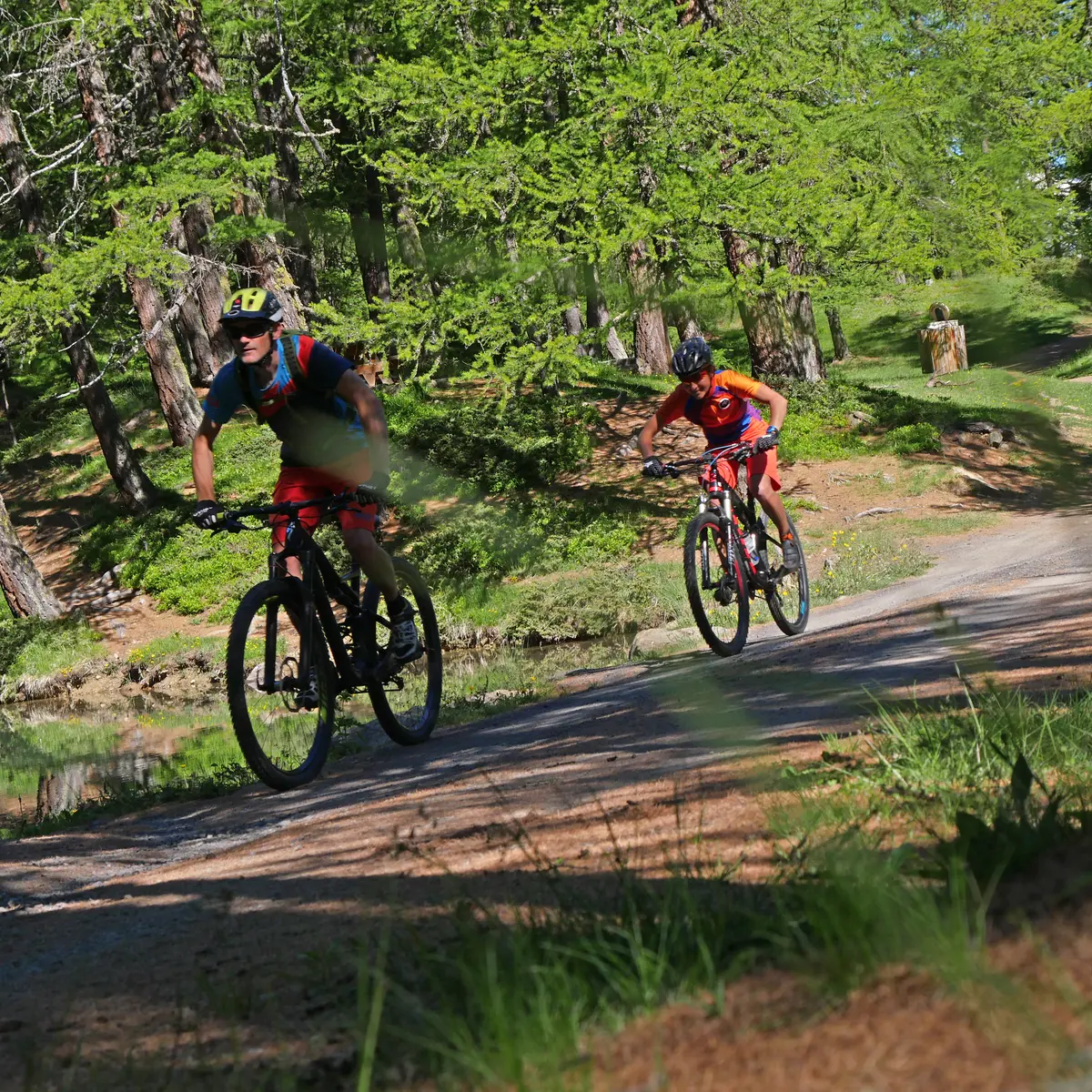 Parcours VAE & CROSS COUNTRY (XC) - DECOU'VERTE_Risoul