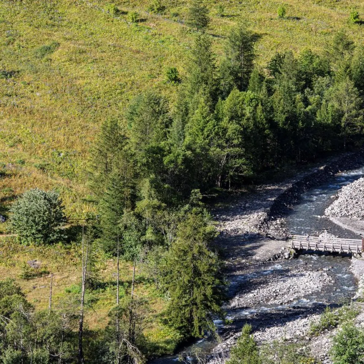 Le Fournel et prairie de Reine des Alpes des Deslioures