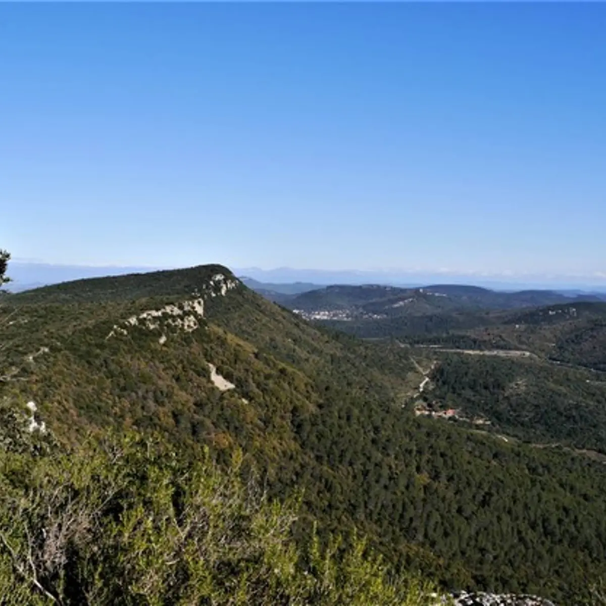 Le long de la crête