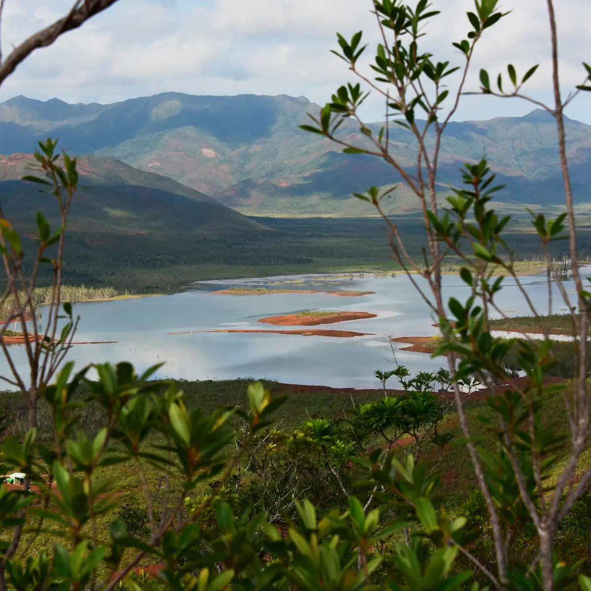 Vallée de la rivière Blanche