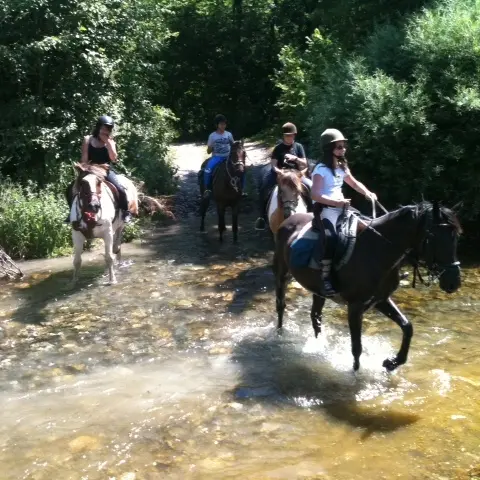 Balade à cheval avec les Paddocks du Mont Blanc