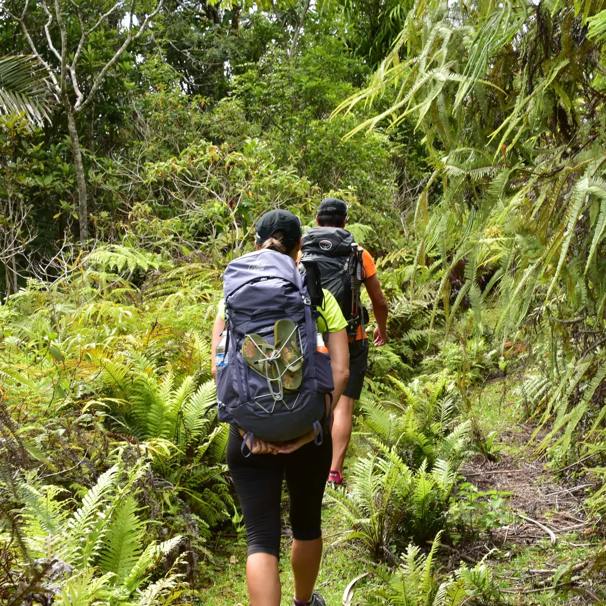 guides, randonnée GR Nord