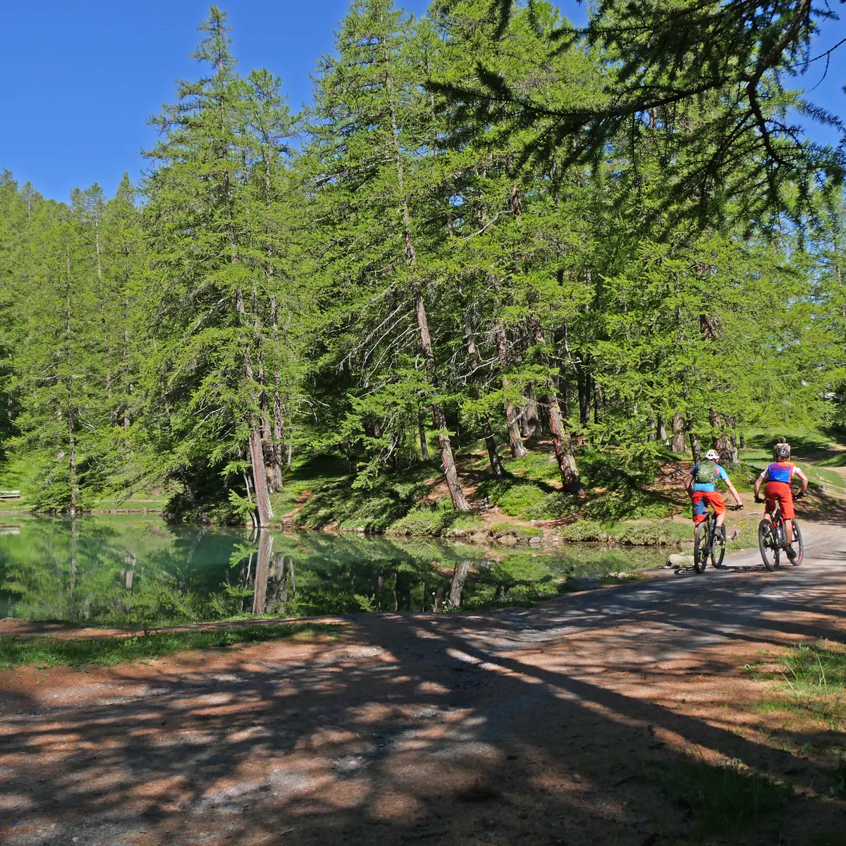 Parcours VAE & CROSS COUNTRY (XC) - DECOU'VERTE_Risoul