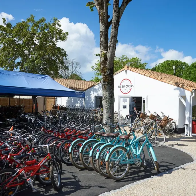 alquiler de bicicletas