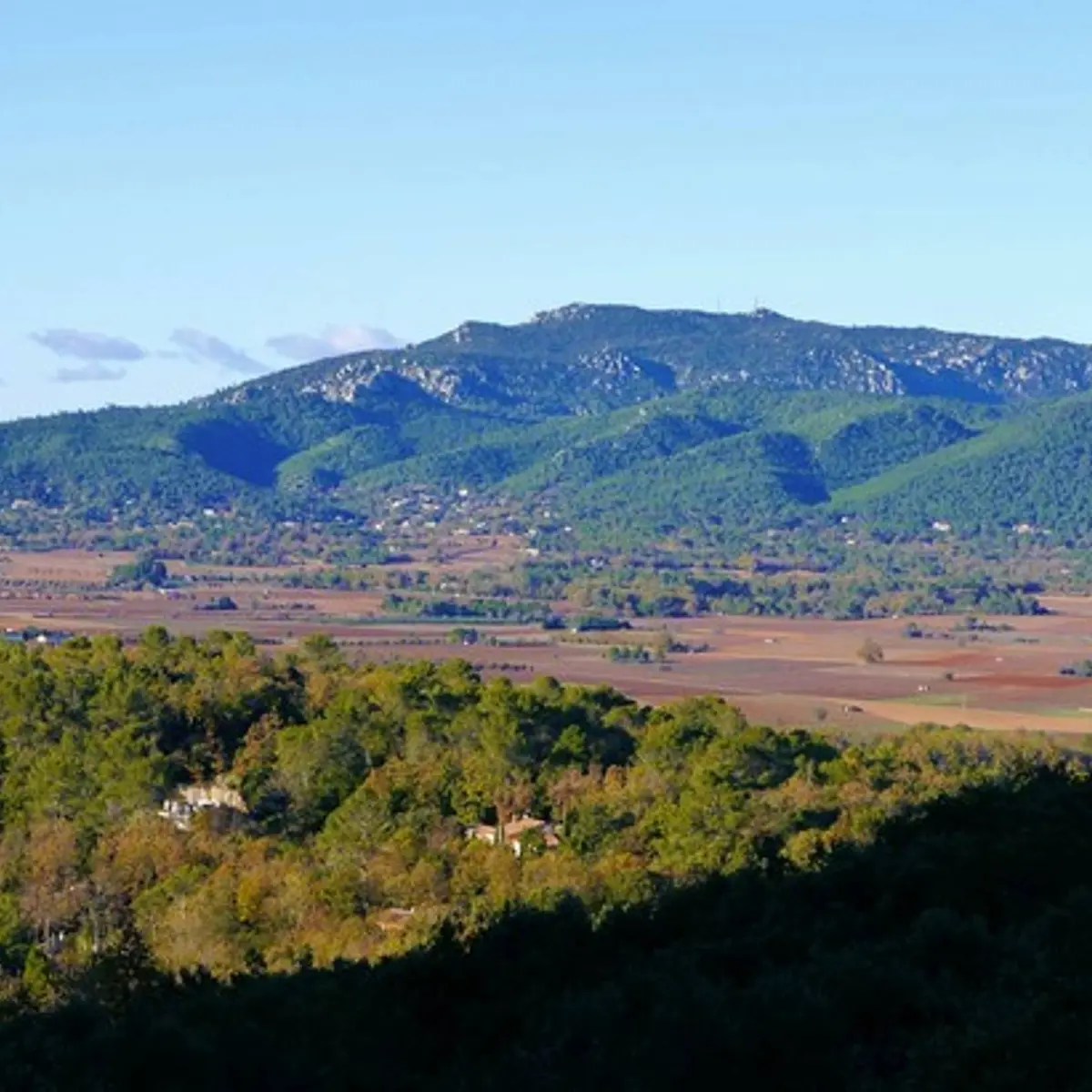 Vue de Néoules et de la Loube