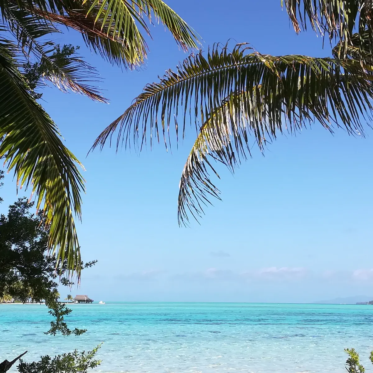 Pension Titaina_Taha'a