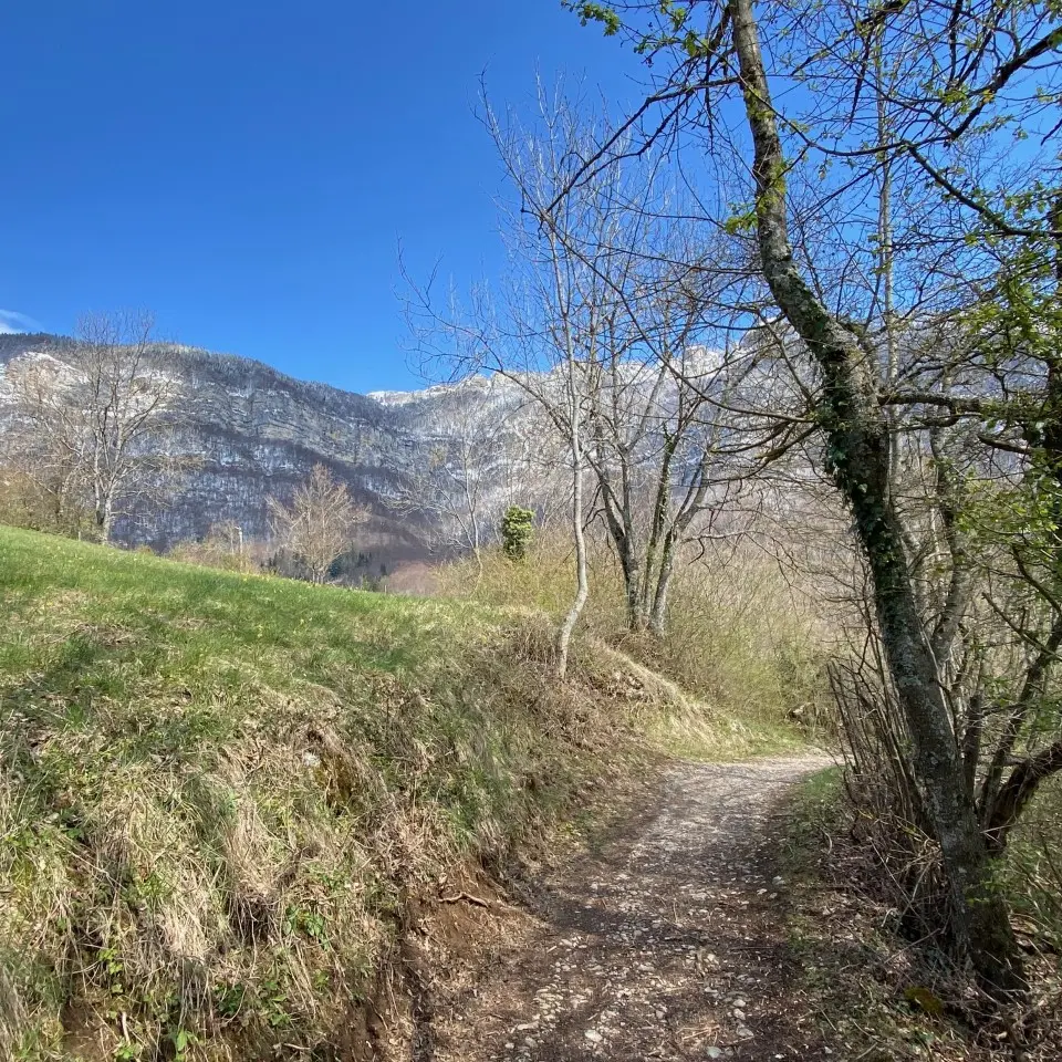 Chemin de l'Essarts