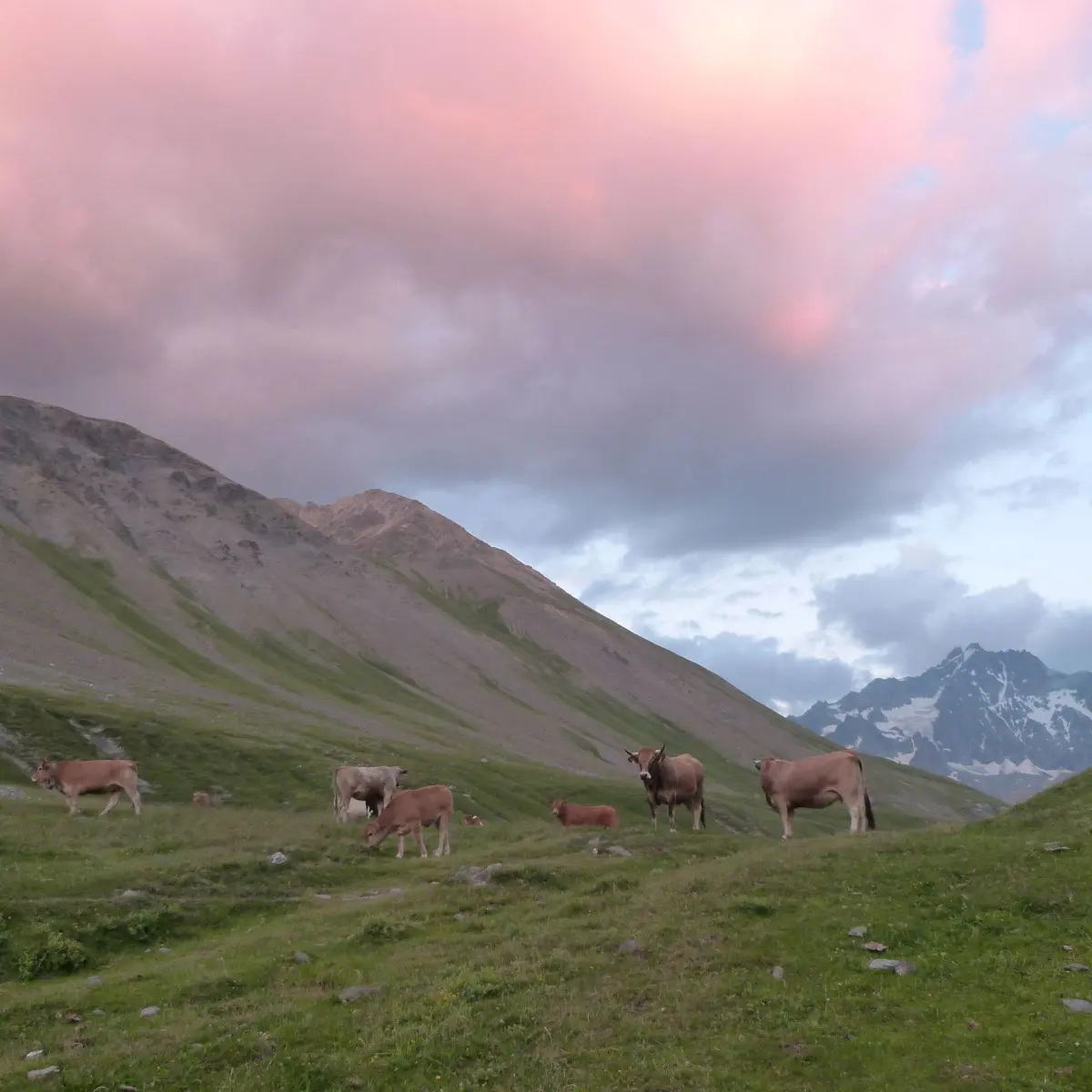 Au coucher du soleil