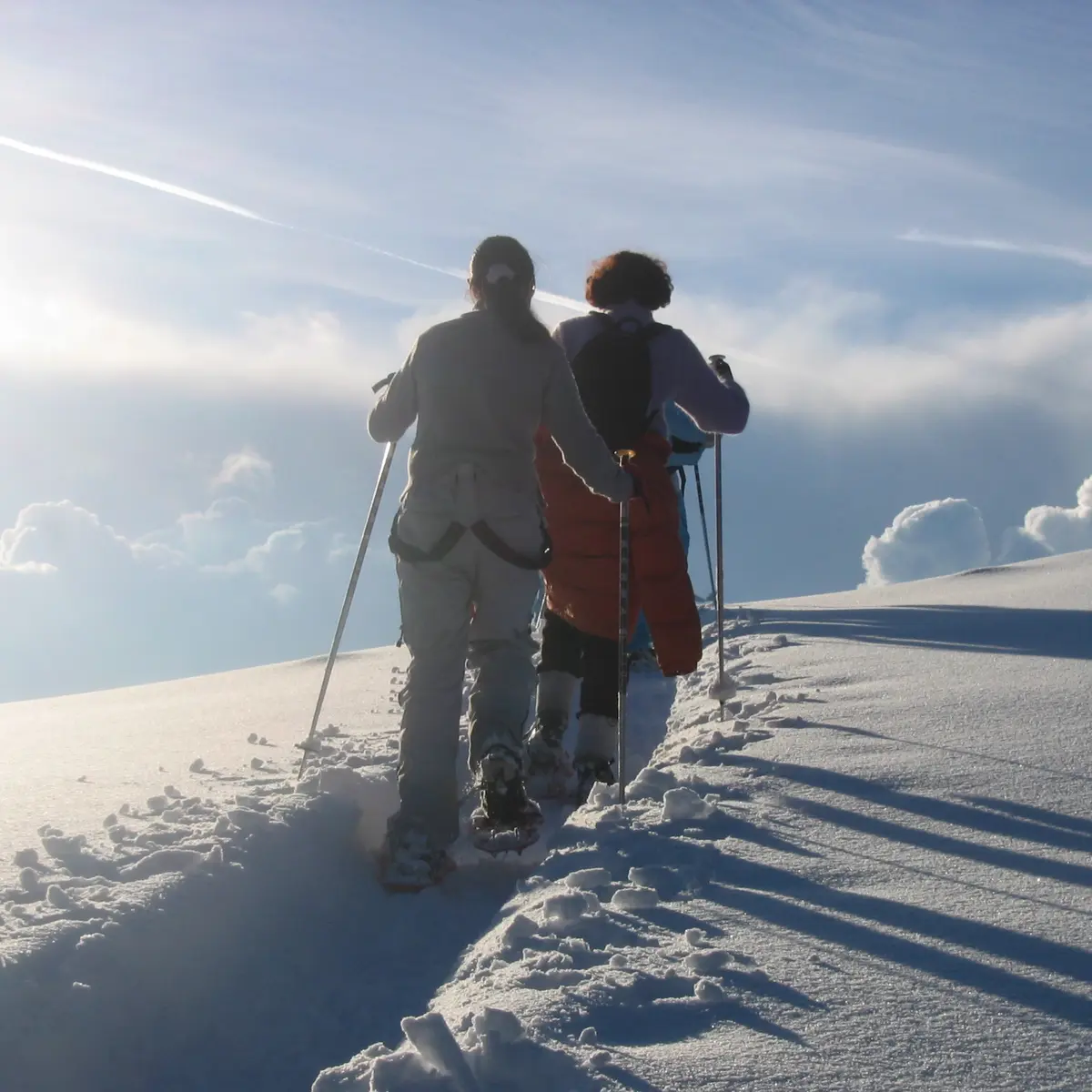 on the Dôle plateau