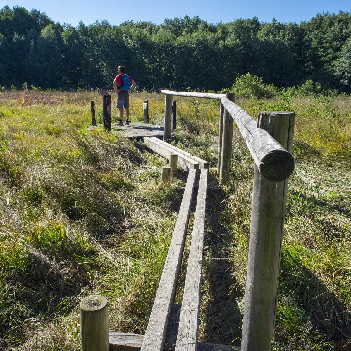 Sentier sur pilotis du géosite du marais du Maravant