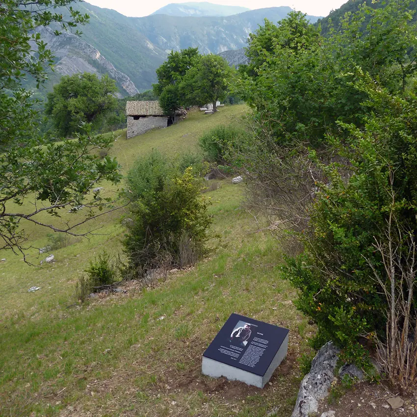 Till Roeskens, Sentier Marcel, 2017, Collection musée Gassendi