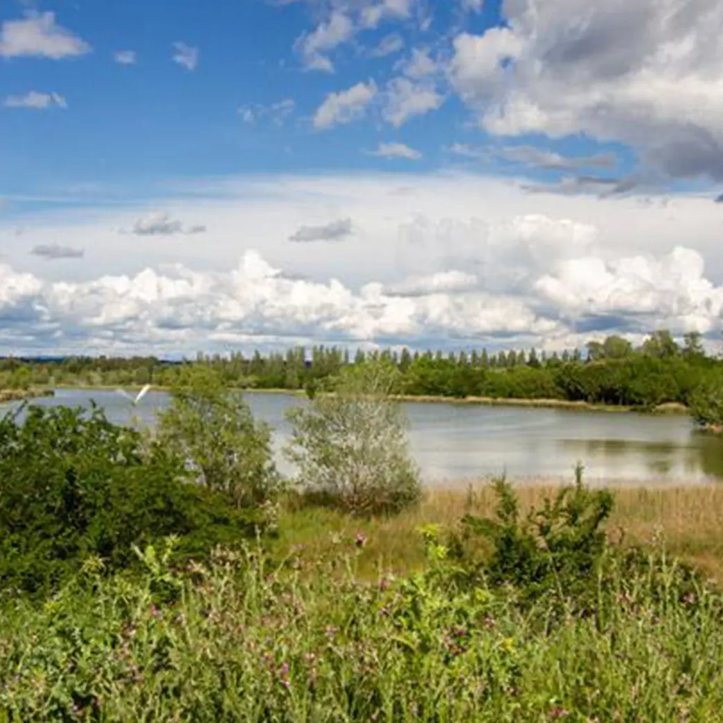 Lac du Barreau_Saint-Rémy-de-Provence