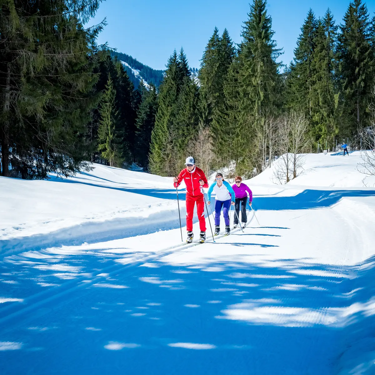 Biathlon stage prestige adulte