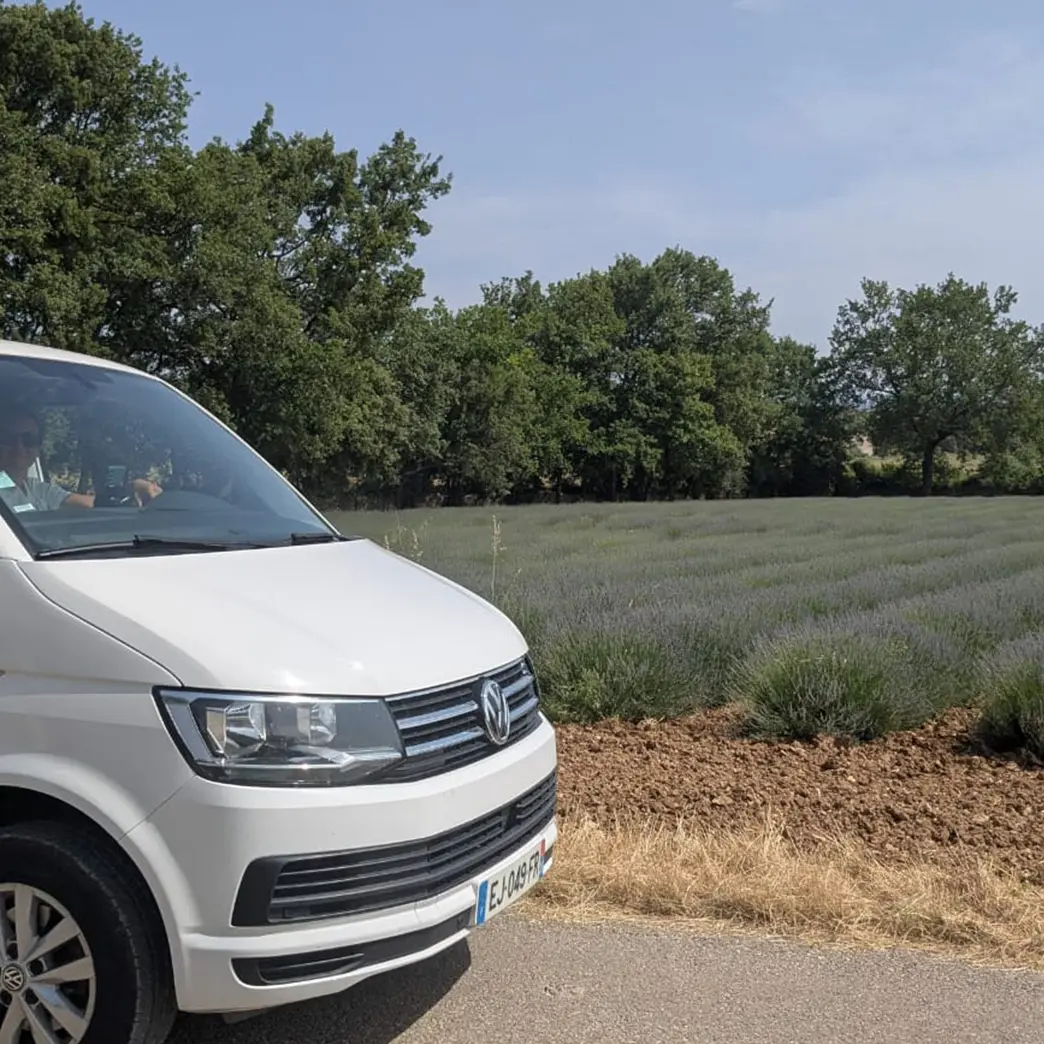 Agence receptive excursions Alpilles, Luberon et Camargue