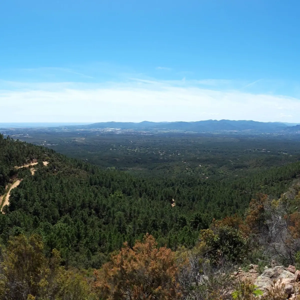 Panorama sur le massif forestier jusqu'au littoral