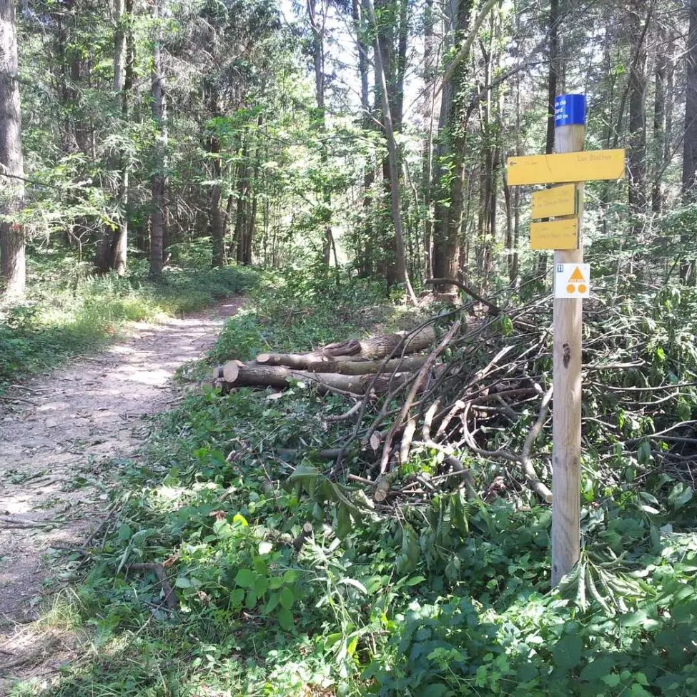 Autour de l'Herbasse