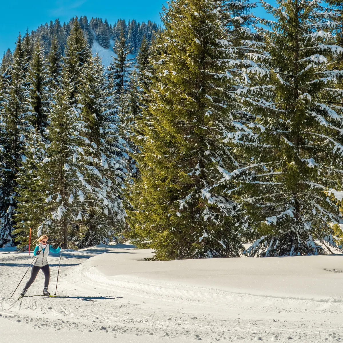 Fondeur en forêt à Praz de Lys Sommand