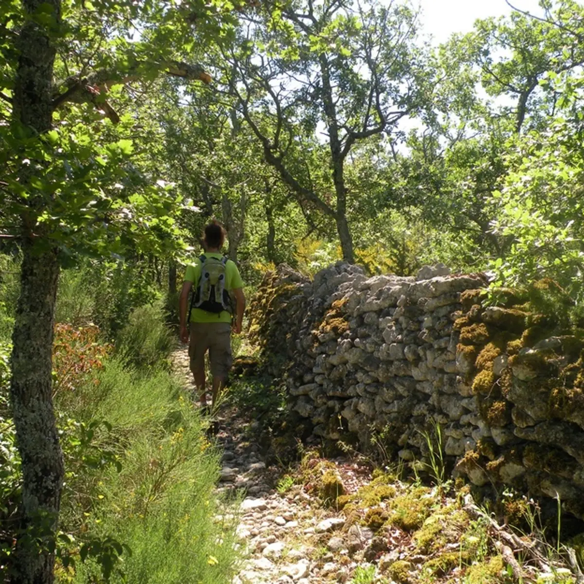 Sentier de La Gardette bordé de murs en pierre sèche