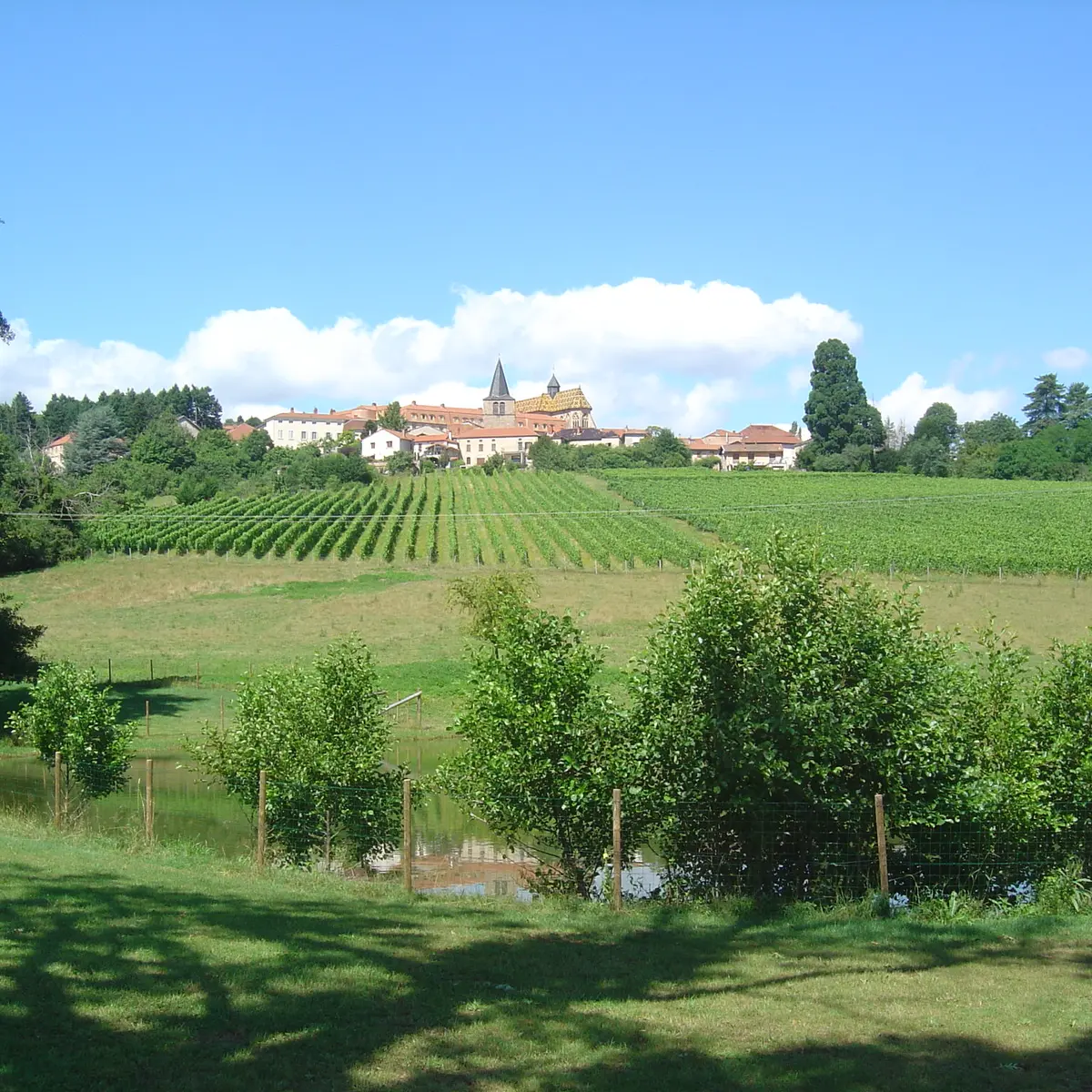 Domaine des Palais