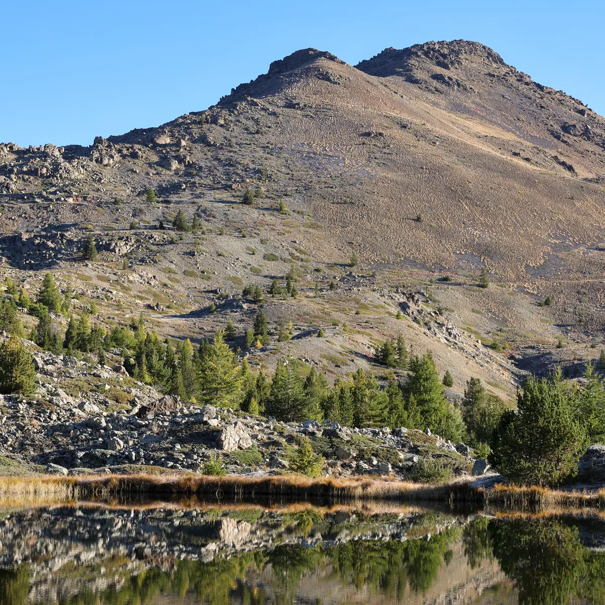 Le Chenaillet se reflétant dans le lac des Sarailles