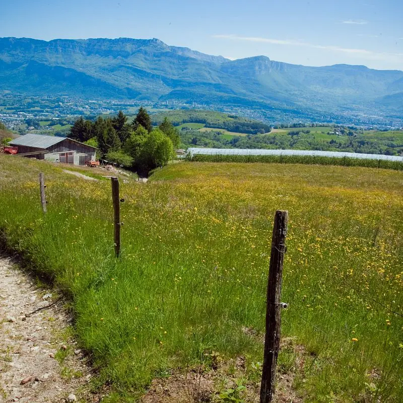 Col du Crucifix - voie sarde