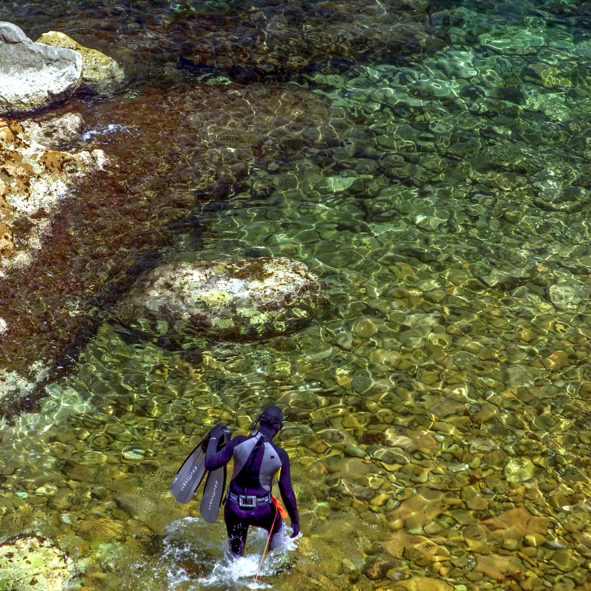 Plongée dans la Côte Bleue