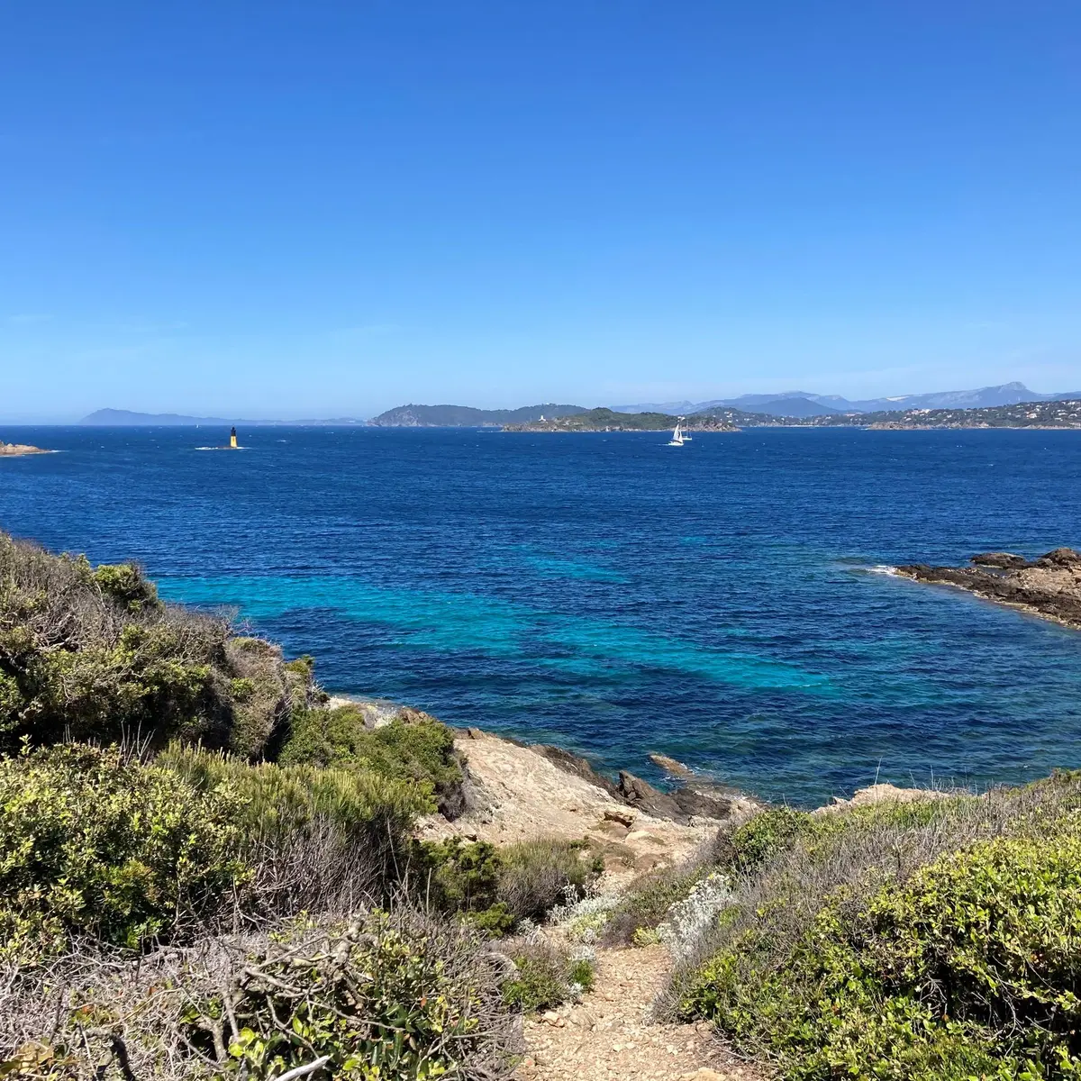 Paysage de Porquerolles