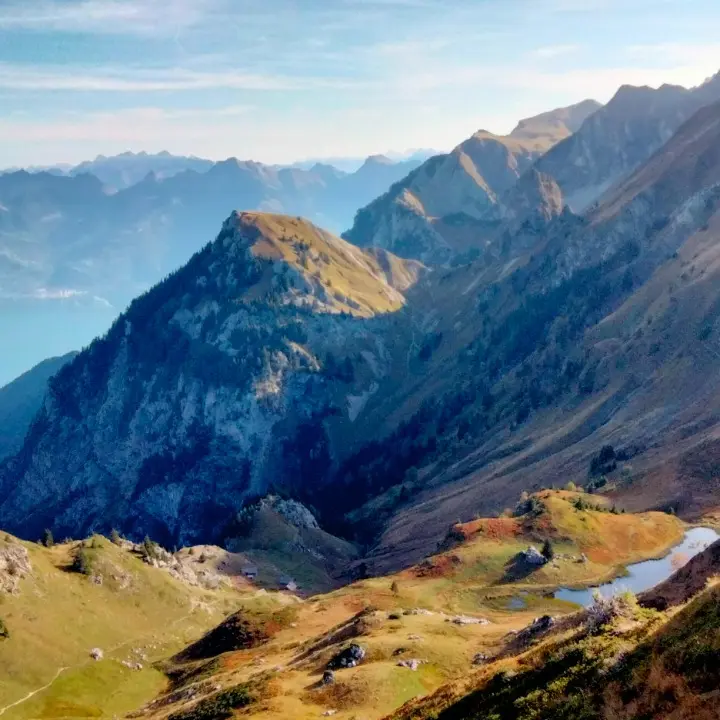 Photo échappée sauvage