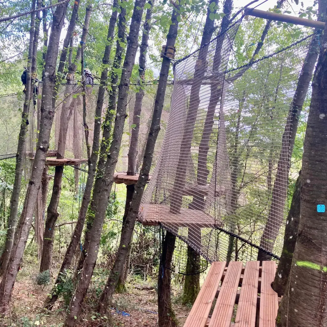 La Forêt des Champos