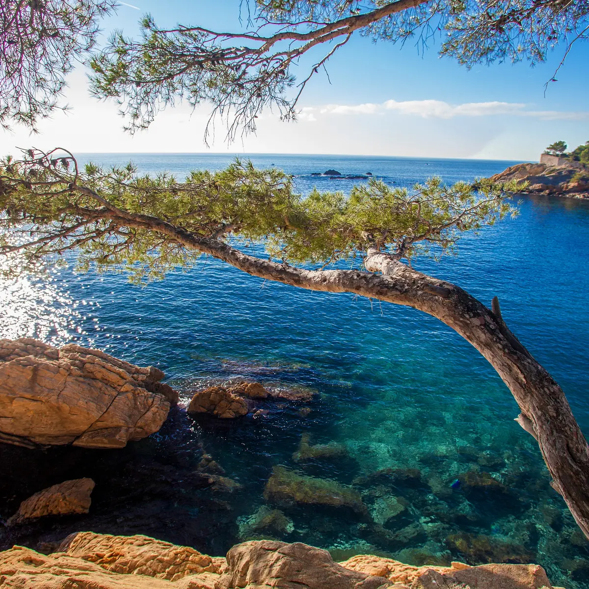 Sur la Côte Bleue