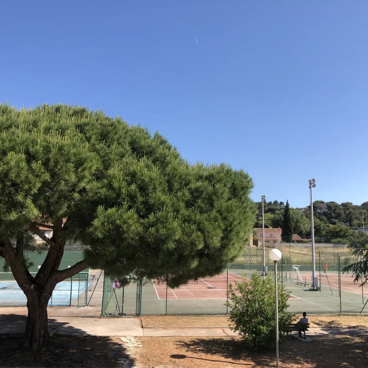 Mini tennis & Fronton